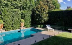 Bay Laurel (Sweet Bay) - Laurus Nobilis - 6 Pack Of 1 Gallon Pots -Plant Shop Bay Laurel 7