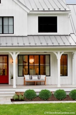 Korean Dwarf Boxwood - Buxus Sinica Var. Insularis 'Nana' - 1 Gallon Pot 11 Korean Dwarf Boxwood - Buxus Sinica Var. Insularis 'Nana' - 1 Gallon Pot -Plant Shop Boxwood Korean Dwarf Insularis Nana 4 1