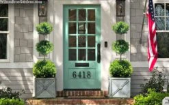 Green Mountain Boxwood 3-Ball Poodle Tier Topiary - 6 Gallon Pot -Plant Shop buxus green mountain 3 ball topiary 20